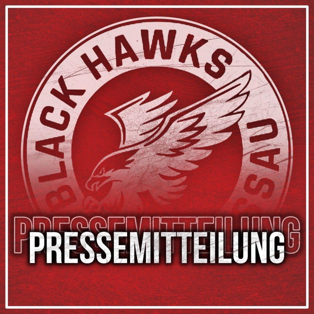 Pressemeldung Verein